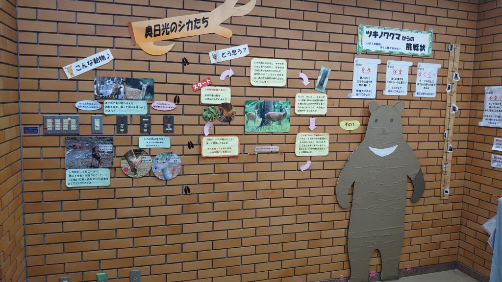 奥日光のシカたち