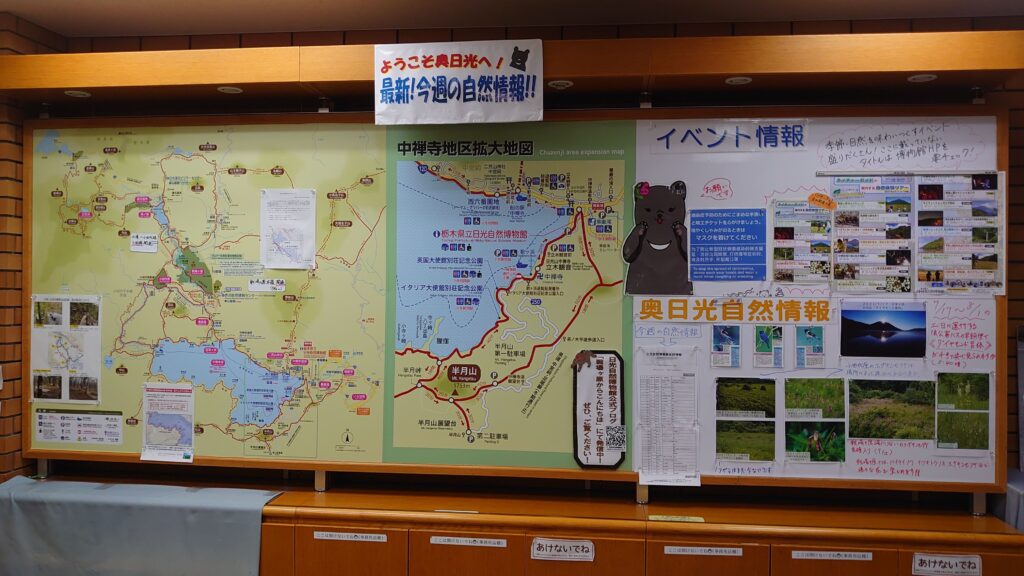 最新!今週の自然情報