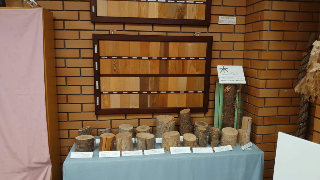 奥日光の木々の年輪