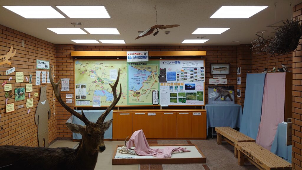 日光自然博物館入ってすぐのスペース