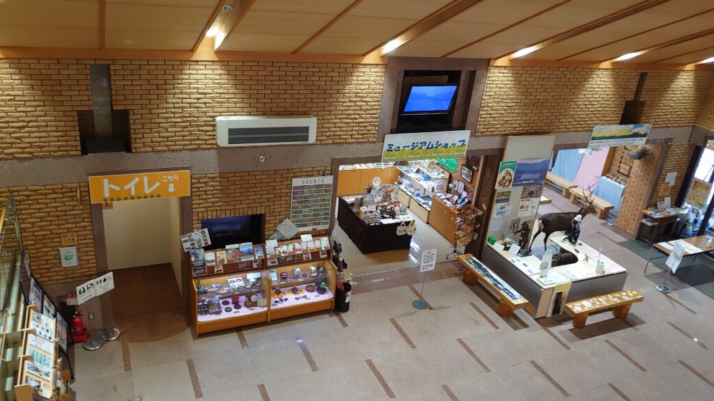 日光自然博物館の2階からの景色