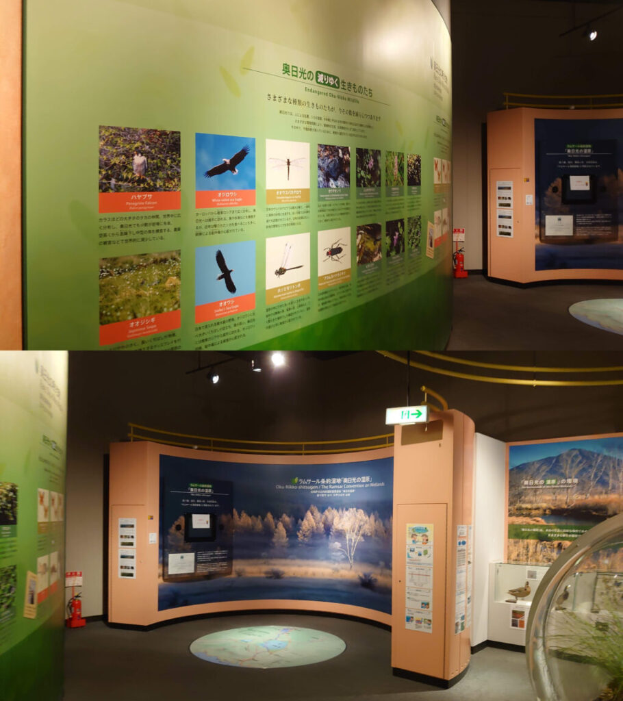 奥日光の生きものたち