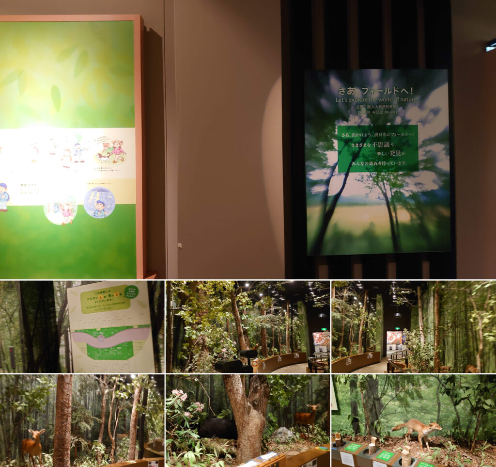 奥日光の自然模擬