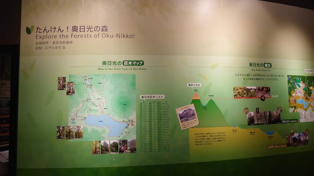 たんけん!奥日光の森