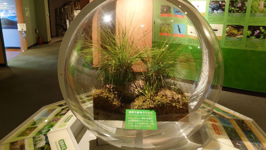 華厳の植物カプセル