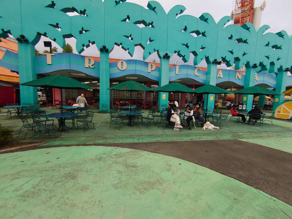 トロピカーナ前のベンチ