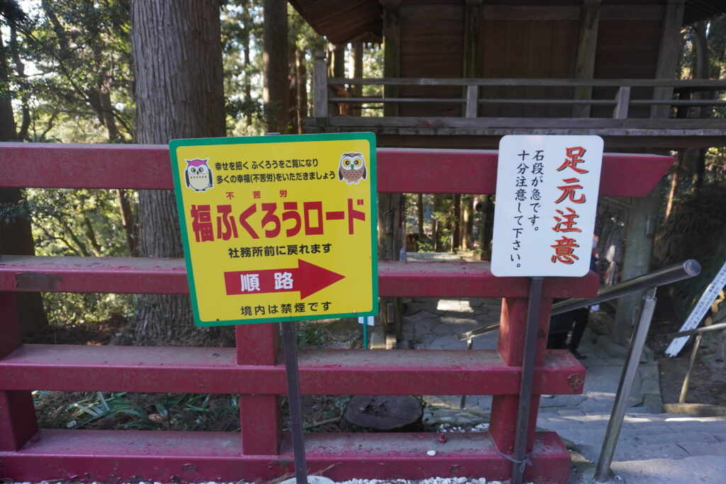 福ふくろうロードに続く道