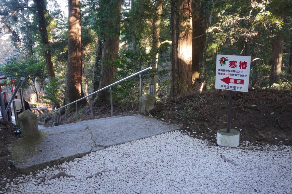 寒椿ロード階段