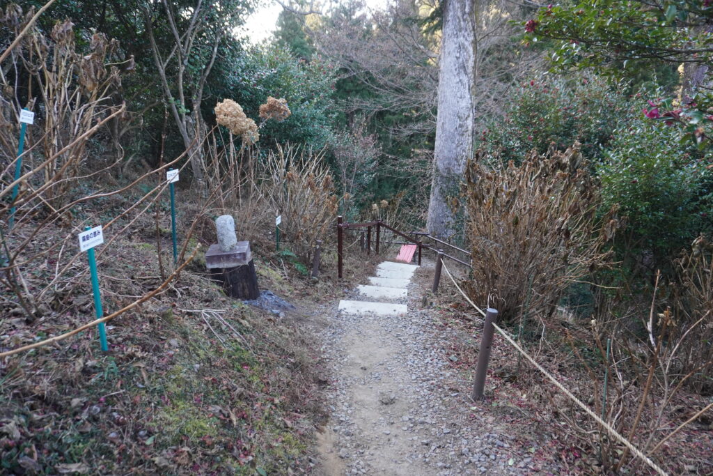 福ふくろうロードに続く道