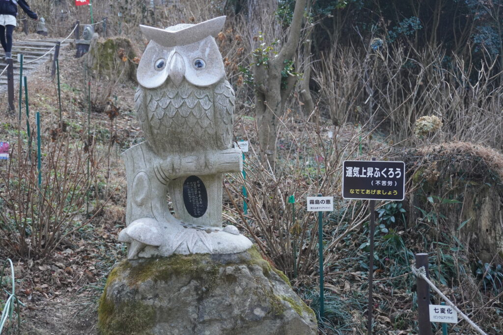 運気上昇ふくろう