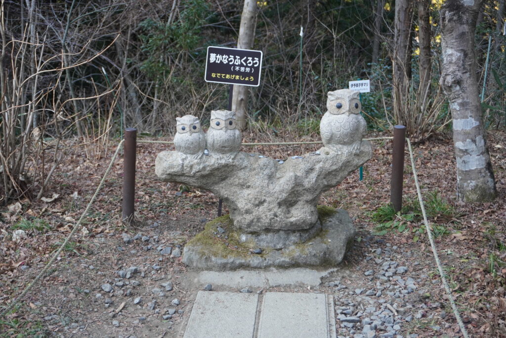 夢かなうふくろう