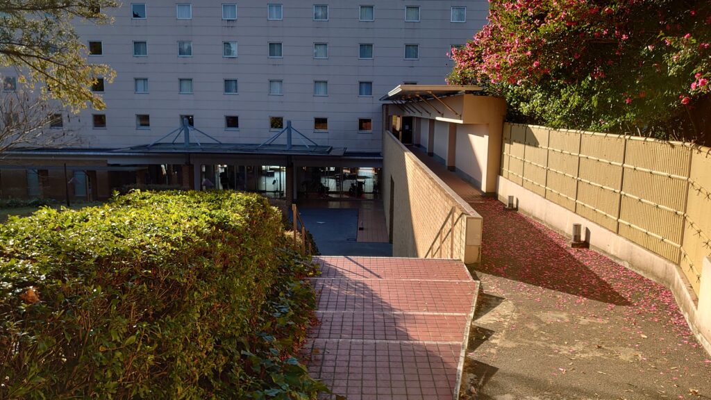 駐車場からホテルまでの道３