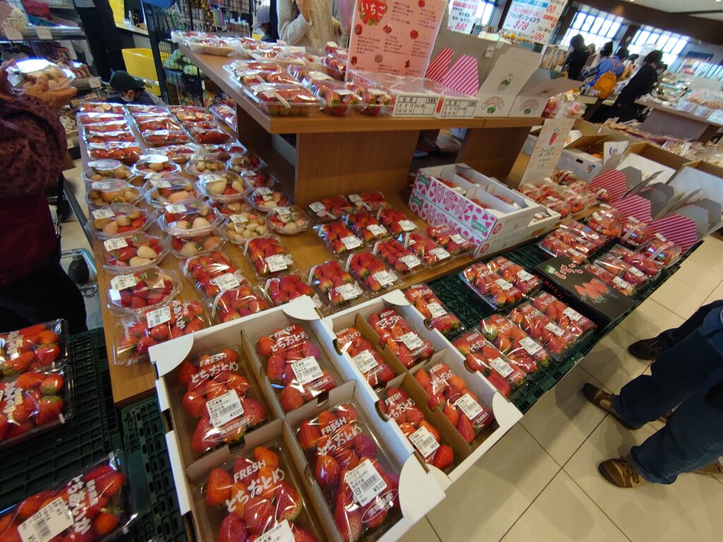 数種類のいちご