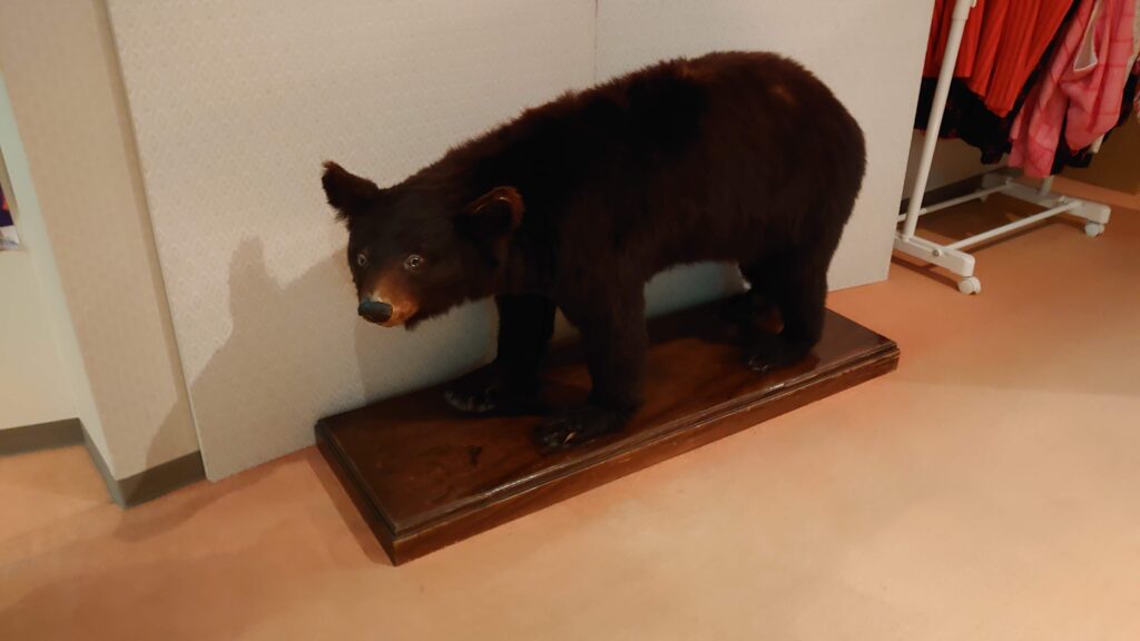 白雲の宿の熊の置物