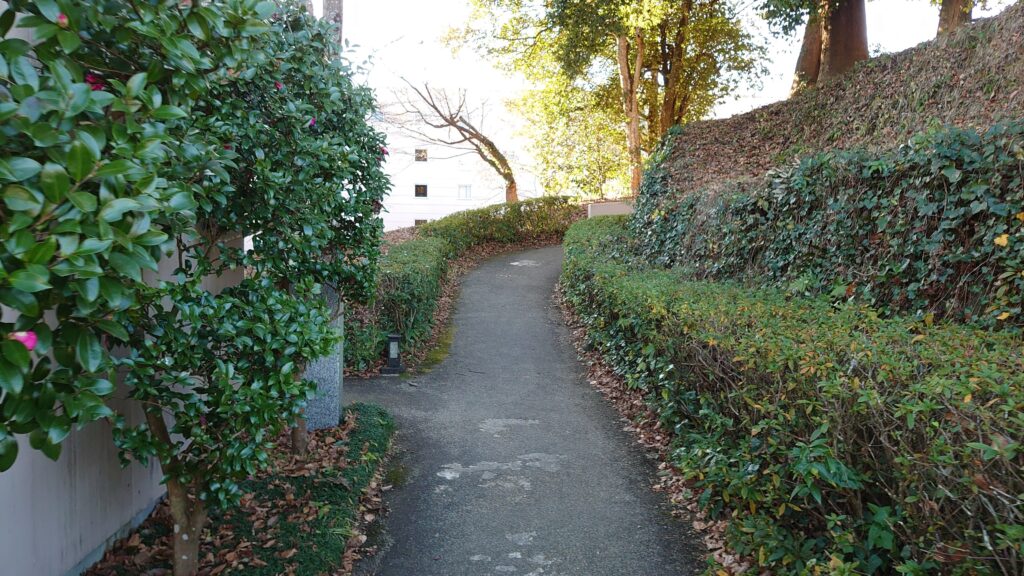 駐車場からホテルまでの道２