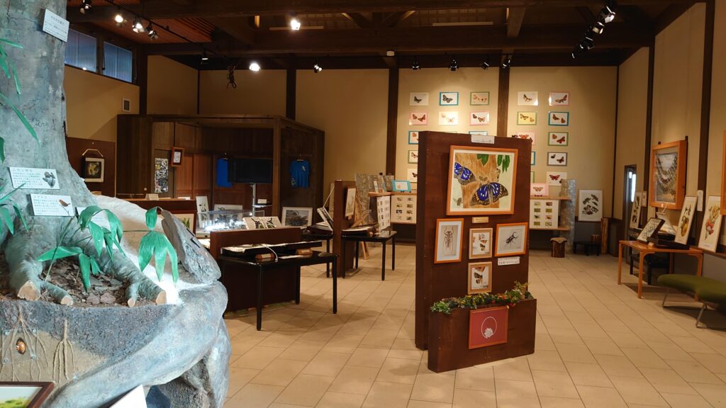 蝶の美術館の空間