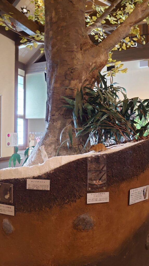 蝶の美術館の地中