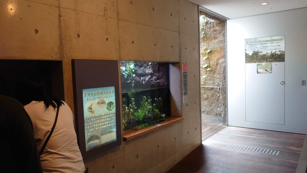 小さな水槽ゾーン出口