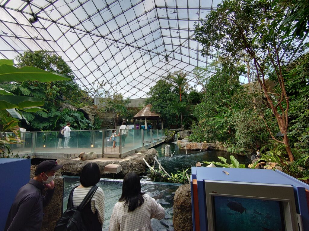 半屋外のゾーン