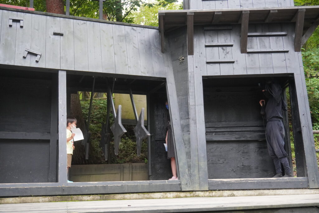 振り子の通り抜け